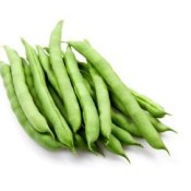 Canning Green Beans, Freezing Green Beans, Growing Green Beans, Storing Green Beans, Drying Green Beans