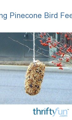 Making Pinecone Bird Feeders Thriftyfun