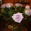 A Beautiful Dozen Lilac Roses