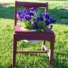 Planter Chair Finished