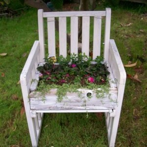 Recycled wooden chair planter.