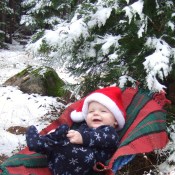 Christmas at Home Child Under Snowy Tree