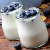 Making Yogurt Without Milk