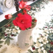 Bright red geranium in beatiful vase.