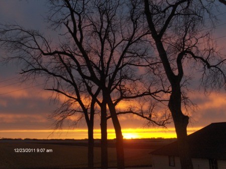 Sunrise with trees.