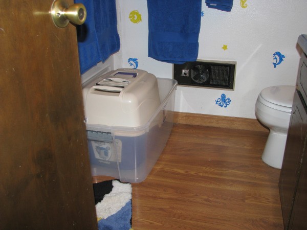 Litterbox in kids' bathroom.