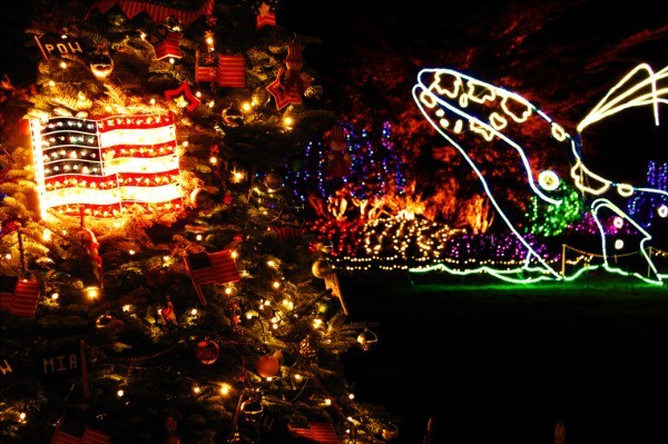 Holiday lights with whale.