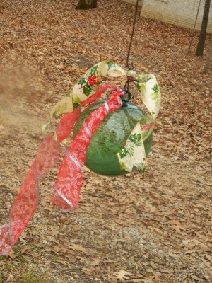 Green glass ornament with two colors of ribbon.