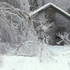 Ice storm with barn.