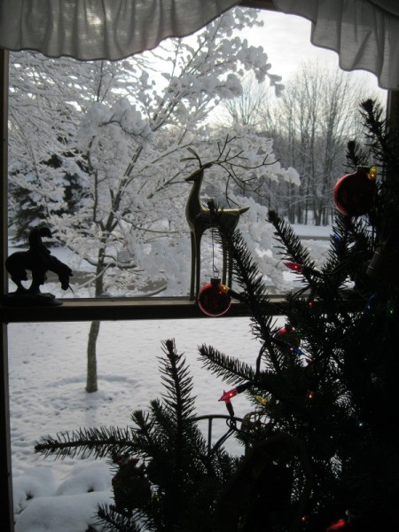 Yard winterscape through the window.