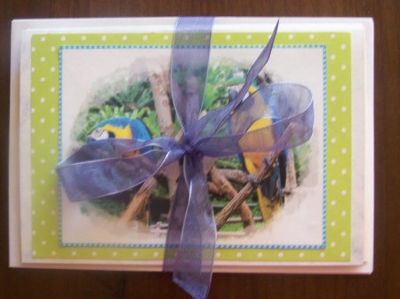 Use a decorative ribbon to tie the cards and envelopes together.