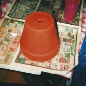 Preparing to paint pot on newspaper.