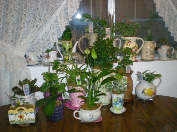Recycled ceramic planters from coffee cups and other dishes.
