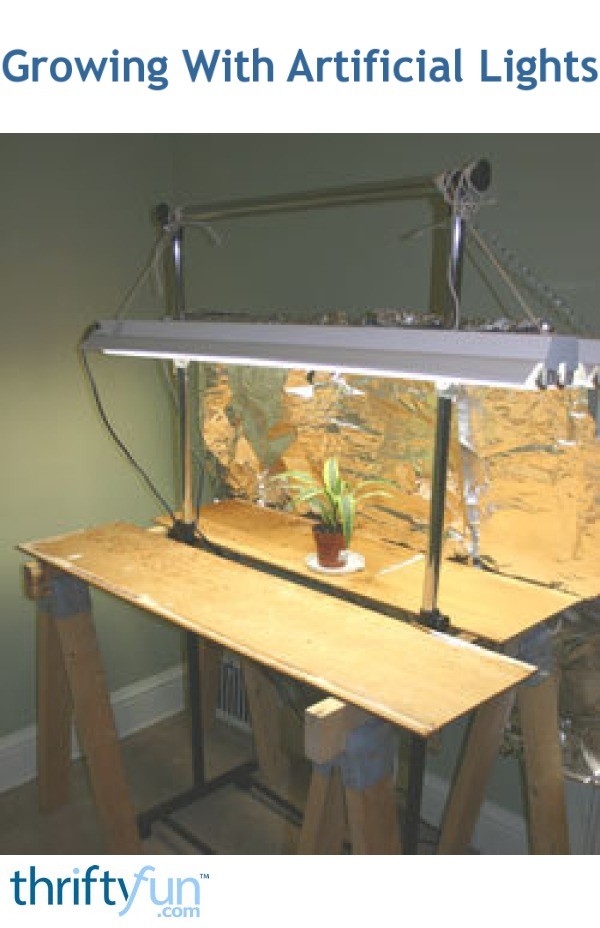 Growing With Artificial Lights ThriftyFun