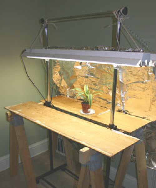 Using Grow Lights" Regular old "non-fanfare" fluorescent tube lighting is the easiest and most common type of artificial lighting for growing plants and starting seeds