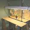 Using Grow Lights" Regular old "non-fanfare" fluorescent tube lighting is the easiest and most common type of artificial lighting for growing plants and starting seeds