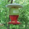 Hummingbird Feeder Rain Protector 2