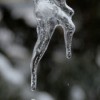 Twin water drops from a melting icicle.