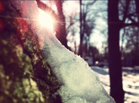 The sun shining on a winter scene, melting the snow.