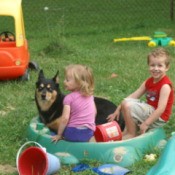 A black and brown dog in a sandbox with some children.