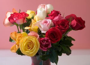 Selecting Valentine's Day Flowers, A bouquet of fresh cut roses for Valentine's Day