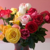 Selecting Valentine's Day Flowers, A bouquet of fresh cut roses for Valentine's Day