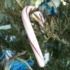 Candy Cane Advent Tree