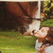 Chestnut horse (Sequoia) touching noses with a young girl (Brook)