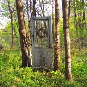 Door hanging between trees in the garden.