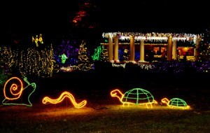 Holiday light display at Shore Acres.