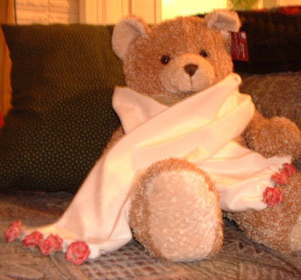 A velvet scarf displayed on a teddy bear.