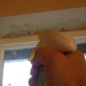 Spraying Mold on Window frame