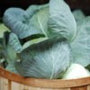 Cabbage in Basket