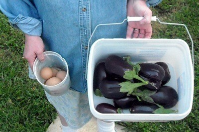 A bucket of eggs and eggplant.