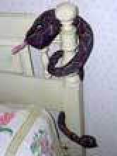 Snake Wrapped on Bedpost