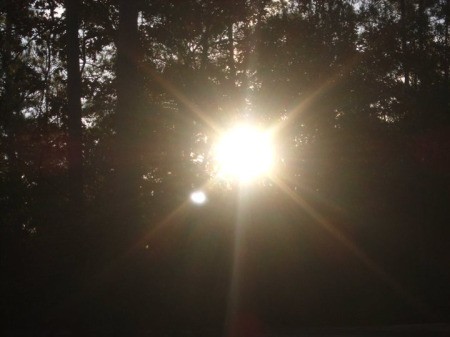Scenery: Morning Sun, the sun peeking through the trees.