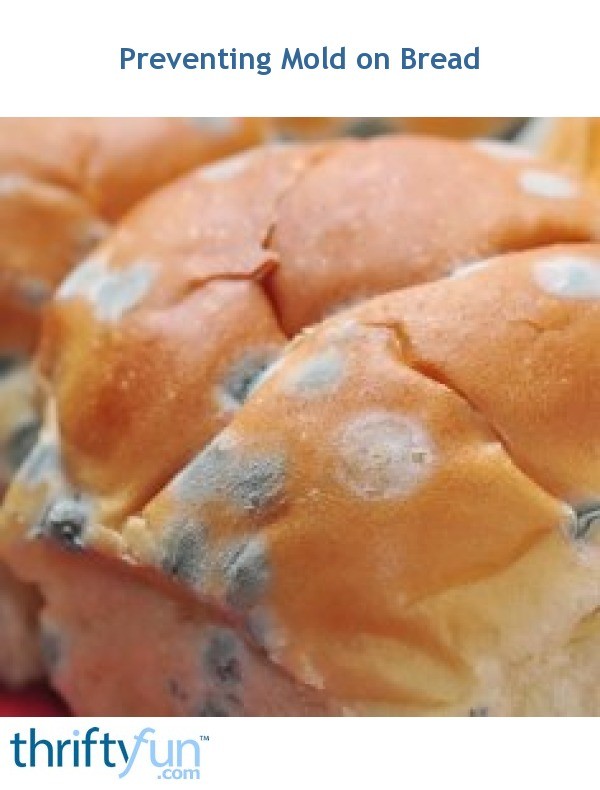 Preventing Mold on Bread ThriftyFun