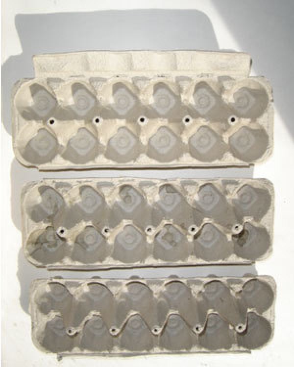 Egg Cartons