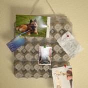 A bulletin board made from an egg carton.