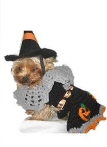 A dog dressed as a witch for Halloween.