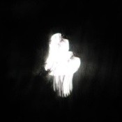 A moon photograph that resembles a ghost.