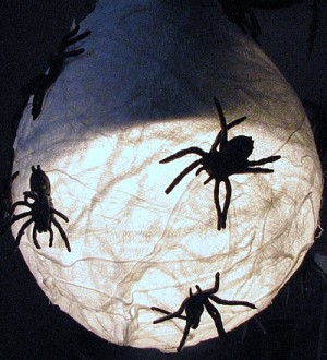 Spider decoration on a light fixture.