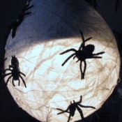 Spider decoration on a light fixture.