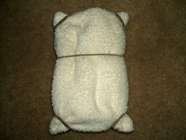 Bands in place for ears and feet.