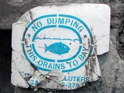 A No Dumping sign for water drainage.