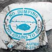 A No Dumping sign for water drainage.
