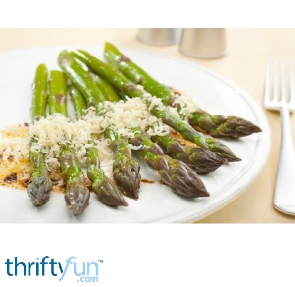 Recipes Using Asparagus ThriftyFun