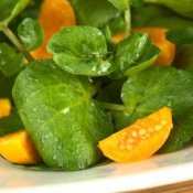 Watercress and Physalis Salad