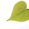 Green Valentine's Day Ideas, heart shaped leaf
