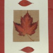 A card with autumn leaves.